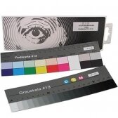 BIG greycard and color card 18cm (486020)