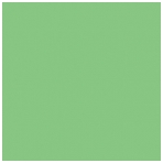 Popierinis fonas Colorama 2,72x11m Summer green