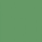Popierinis fonas Manfrotto 2.72x11m Leaf Green