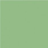 Popierinis fonas Manfrotto 2.72x11m Chromakey Green