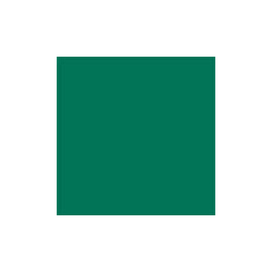 Popierinis fonas Colorama 2.75x11m Spruce green