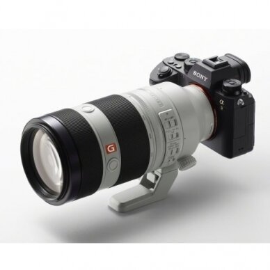 Sony FE 100-400mm f4.5-5.6 GM OSS 3